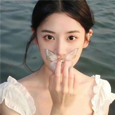 双生花2014